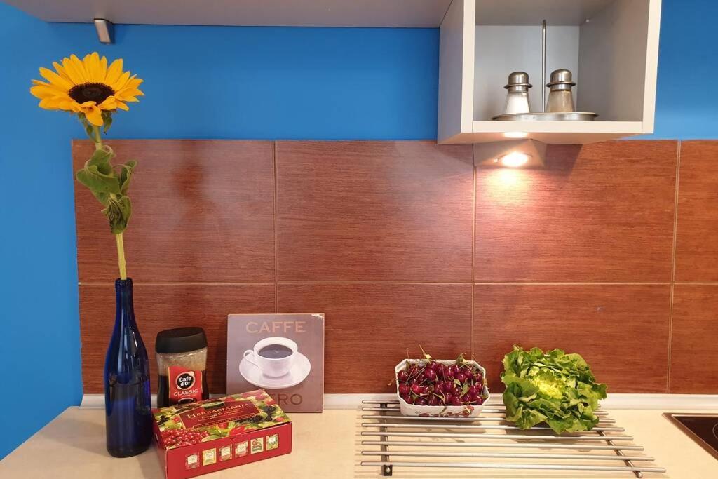 The Quiet Blue Home In The City Center! Krakow Ngoại thất bức ảnh